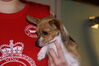 Filename=20121104_002.jpg
Filesize=157KiB
Dimensions=1023x685
Date added=Mar 24, 2013 20121104_002.jpg