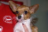 Filename=20121104_003.jpg
Filesize=154KiB
Dimensions=1023x685
Date added=Mar 24, 2013 20121104_003.jpg