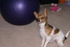 Filename=20121108_003.jpg
Filesize=140KiB
Dimensions=1023x685
Date added=Mar 24, 2013 20121108_003.jpg