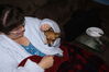 Filename=20121123_001.jpg
Filesize=150KiB
Dimensions=1023x685
Date added=Mar 24, 2013 20121123_001.jpg