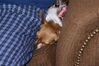 Filename=20121225_092.jpg
Filesize=210KiB
Dimensions=1023x685
Date added=Apr 04, 2013 20121225_092.jpg