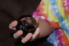 Filename=20121225_095.jpg
Filesize=123KiB
Dimensions=1023x685
Date added=Apr 04, 2013 20121225_095.jpg