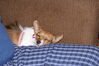 Filename=20121225_137.jpg
Filesize=239KiB
Dimensions=1023x685
Date added=Apr 04, 2013 20121225_137.jpg