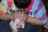 Filename=20121225_155.jpg
Filesize=165KiB
Dimensions=1023x685
Date added=Apr 04, 2013 20121225_155.jpg
