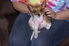 Filename=20121225_156.jpg
Filesize=171KiB
Dimensions=1023x685
Date added=Apr 04, 2013 20121225_156.jpg