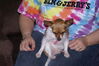 Filename=20121225_157.jpg
Filesize=173KiB
Dimensions=1023x685
Date added=Apr 04, 2013 20121225_157.jpg