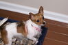 Filename=20130102_041.jpg
Filesize=145KiB
Dimensions=1023x685
Date added=Apr 06, 2013 20130102_041.jpg