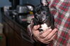 Filename=20130102_055.jpg
Filesize=170KiB
Dimensions=1023x685
Date added=Apr 06, 2013 20130102_055.jpg