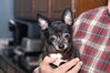 Filename=20130102_056.jpg
Filesize=173KiB
Dimensions=1023x685
Date added=Apr 06, 2013 20130102_056.jpg