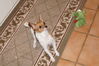 Filename=20130303_004.jpg
Filesize=532KiB
Dimensions=2047x1360
Date added=Jul 16, 2013 20130303_004.jpg