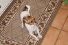 Filename=20130303_005.jpg
Filesize=619KiB
Dimensions=2047x1360
Date added=Jul 16, 2013 20130303_005.jpg