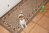 Filename=20130303_006.jpg
Filesize=392KiB
Dimensions=2047x1360
Date added=Jul 16, 2013 20130303_006.jpg