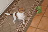 Filename=20130303_007.jpg
Filesize=326KiB
Dimensions=2047x1360
Date added=Jul 16, 2013 20130303_007.jpg