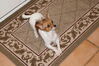 Filename=20130303_008.jpg
Filesize=613KiB
Dimensions=2047x1360
Date added=Jul 16, 2013 20130303_008.jpg