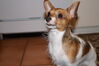 Filename=20130306_001.jpg
Filesize=255KiB
Dimensions=2047x1360
Date added=Jul 16, 2013 20130306_001.jpg