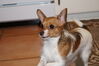 Filename=20130306_002.jpg
Filesize=272KiB
Dimensions=2047x1360
Date added=Jul 16, 2013 20130306_002.jpg