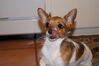 Filename=20130306_003.jpg
Filesize=252KiB
Dimensions=2047x1360
Date added=Jul 16, 2013 20130306_003.jpg