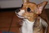 Filename=20130306_004.jpg
Filesize=369KiB
Dimensions=2047x1360
Date added=Jul 16, 2013 20130306_004.jpg