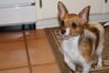 Filename=20130306_005.jpg
Filesize=248KiB
Dimensions=2047x1360
Date added=Jul 16, 2013 20130306_005.jpg