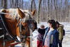 Filename=20130309_003.jpg
Filesize=701KiB
Dimensions=2047x1360
Date added=Jul 16, 2013 20130309_003.jpg