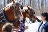 Filename=20130309_006.jpg
Filesize=725KiB
Dimensions=2047x1360
Date added=Jul 16, 2013 20130309_006.jpg