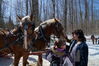 Filename=20130309_008.jpg
Filesize=828KiB
Dimensions=2047x1360
Date added=Jul 16, 2013 20130309_008.jpg