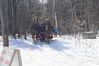 Filename=20130309_009.jpg
Filesize=580KiB
Dimensions=2047x1360
Date added=Jul 16, 2013 20130309_009.jpg