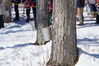 Filename=20130309_010.jpg
Filesize=667KiB
Dimensions=2047x1360
Date added=Jul 16, 2013 20130309_010.jpg