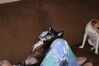 Filename=20130329_004.jpg
Filesize=356KiB
Dimensions=2047x1360
Date added=Jul 17, 2013 20130329_004.jpg