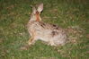 Filename=20130422_031.jpg
Filesize=597KiB
Dimensions=2047x1360
Date added=Jul 17, 2013 20130422_031.jpg