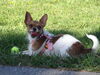 Filename=20130505_007.jpg
Filesize=632KiB
Dimensions=2048x1536
Date added=Nov 30, 2016 20130505_007.jpg