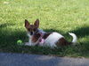 Filename=20130505_008.jpg
Filesize=707KiB
Dimensions=2048x1536
Date added=Nov 30, 2016 20130505_008.jpg