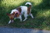 Filename=20130505_009.jpg
Filesize=566KiB
Dimensions=2047x1360
Date added=Jul 17, 2013 20130505_009.jpg
