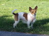 Filename=20130505_010.jpg
Filesize=690KiB
Dimensions=2048x1536
Date added=Nov 30, 2016 20130505_010.jpg
