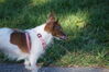 Filename=20130505_011.jpg
Filesize=413KiB
Dimensions=2047x1360
Date added=Jul 17, 2013 20130505_011.jpg