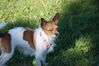 Filename=20130505_012.jpg
Filesize=418KiB
Dimensions=2047x1360
Date added=Jul 17, 2013 20130505_012.jpg