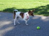 Filename=20130505_013.jpg
Filesize=778KiB
Dimensions=2048x1536
Date added=Nov 30, 2016 20130505_013.jpg