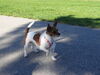 Filename=20130505_014.jpg
Filesize=816KiB
Dimensions=2048x1536
Date added=Nov 30, 2016 20130505_014.jpg