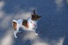 Filename=20130505_015.jpg
Filesize=560KiB
Dimensions=2047x1360
Date added=Jul 17, 2013 20130505_015.jpg