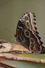 Filename=20130615_007.jpg
Filesize=300KiB
Dimensions=1360x2047
Date added=Jul 17, 2013 20130615_007.jpg