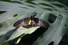 Filename=20130615_010.jpg
Filesize=305KiB
Dimensions=2047x1360
Date added=Jul 17, 2013 20130615_010.jpg