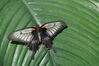 Filename=20130615_011.jpg
Filesize=387KiB
Dimensions=2047x1360
Date added=Jul 17, 2013 20130615_011.jpg