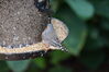 Filename=20130615_014.jpg
Filesize=460KiB
Dimensions=2047x1360
Date added=Jul 17, 2013 20130615_014.jpg