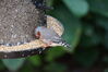 Filename=20130615_015.jpg
Filesize=449KiB
Dimensions=2047x1360
Date added=Jul 17, 2013 20130615_015.jpg