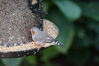 Filename=20130615_016.jpg
Filesize=453KiB
Dimensions=2047x1360
Date added=Jul 17, 2013 20130615_016.jpg