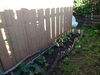 Filename=20130617_001.jpg
Filesize=682KiB
Dimensions=2048x1536
Date added=Dec 10, 2016 20130617_001.jpg
