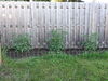 Filename=20130617_004.jpg
Filesize=874KiB
Dimensions=2048x1536
Date added=Dec 10, 2016 20130617_004.jpg