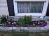 Filename=20130617_015.jpg
Filesize=747KiB
Dimensions=2048x1536
Date added=Dec 10, 2016 20130617_015.jpg