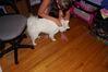 Filename=20130629_001.jpg
Filesize=363KiB
Dimensions=2047x1360
Date added=Jul 17, 2013 20130629_001.jpg