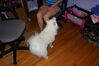 Filename=20130629_002.jpg
Filesize=367KiB
Dimensions=2047x1360
Date added=Jul 17, 2013 20130629_002.jpg